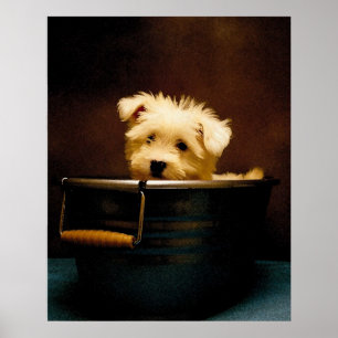 Maltese Puppy in the Bath Poster