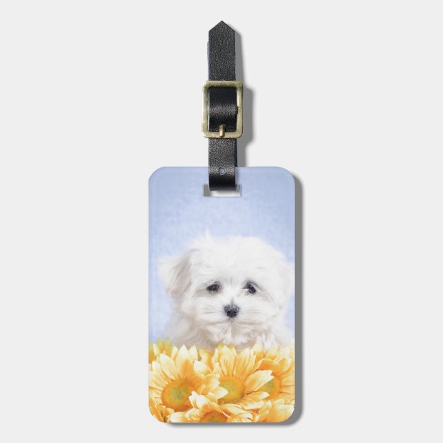 Maltese puppy luggage tag (Front Vertical)