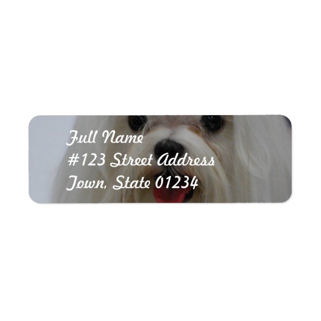 Maltese Puppy Mailing Labels (Front)