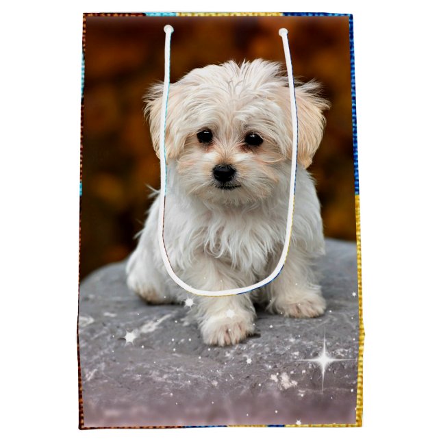 Maltese Puppy Medium Gift Bag (Back)