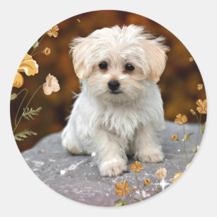 Maltese Puppy, oh so cute, Classic Round Sticker