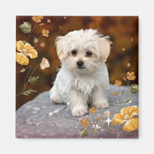 Maltese Puppy, oh so cute, Magnet
