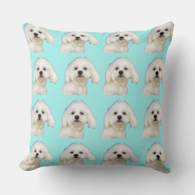 Maltese puppy on blue cushion (Front)