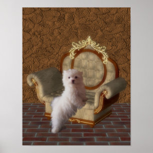 Maltese Puppy On Chair Dog Poster