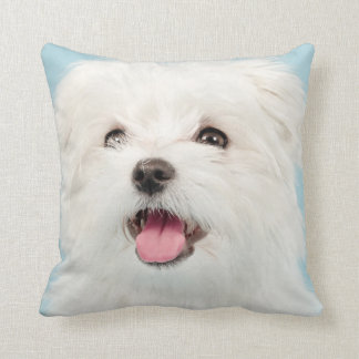 Maltese Puppy Pillow