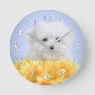 Maltese puppy round clock