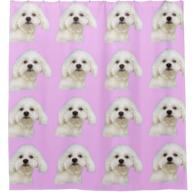 Maltese puppy shower curtain (Front)