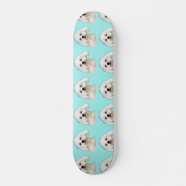 Maltese puppy skateboard (Front)
