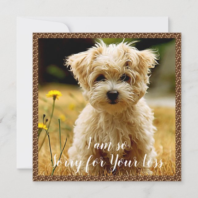 Maltese Puppy Sympathy Card (Front)