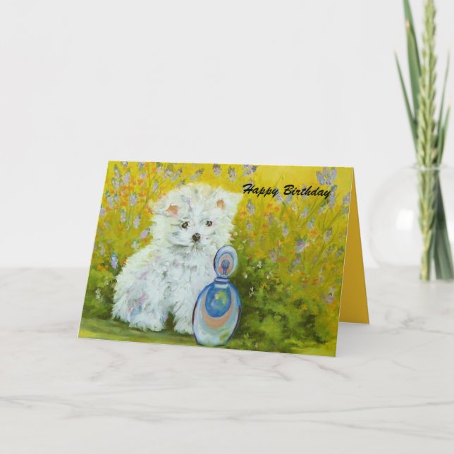 Maltese puppy - yellow card (Front)