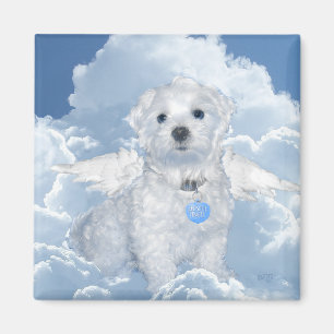 Maltese Rescue Angel Magnet