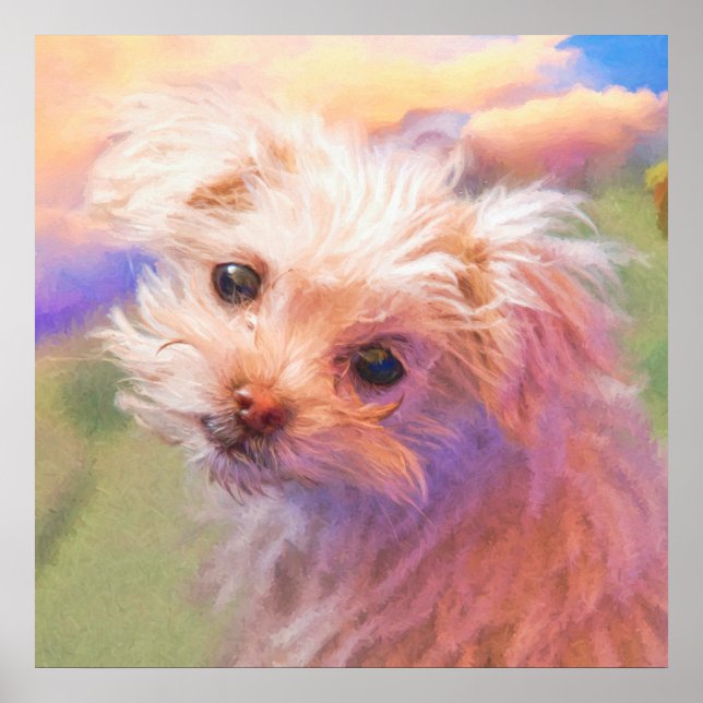 Maltese Rescue Puppy Day 1 “THE WEE ONE” Poster (Front)