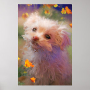 Maltese Rescue Puppy LOOKING THROUGH TEARS Poster