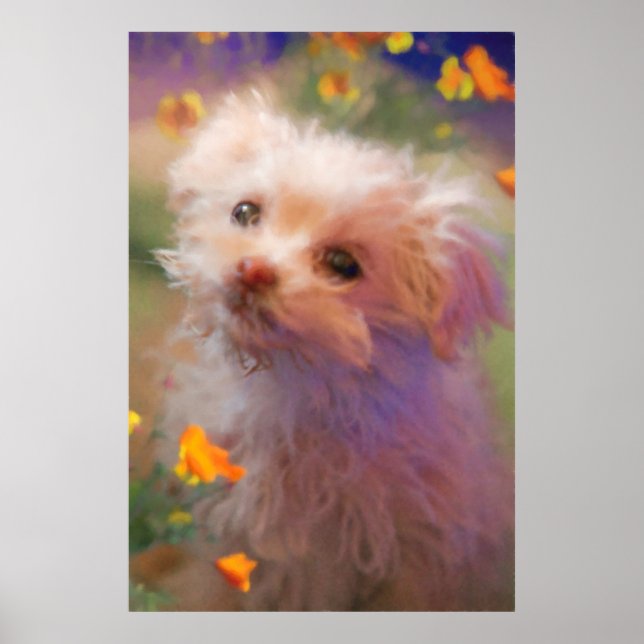 Maltese Rescue Puppy LOOKING THROUGH TEARS Poster (Front)