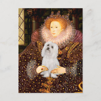 Maltese (SD) - Queen Postcard
