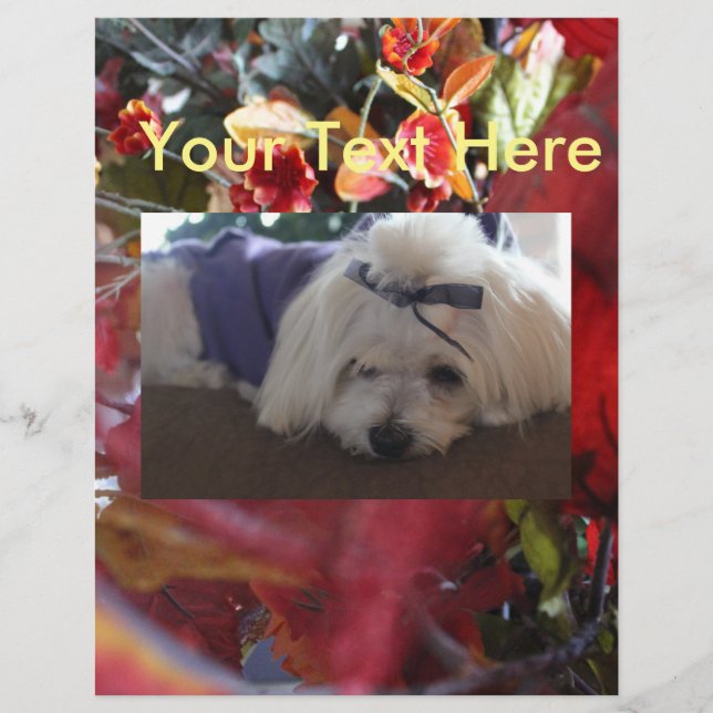 Maltese Seasons Leaves Design (Front)