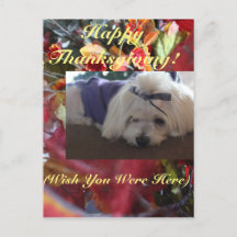 Maltese Seasons Leaves Design