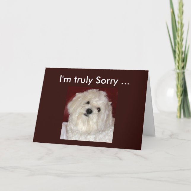 Maltese Sympathy Card for Any Bereavement Occasion (Front)