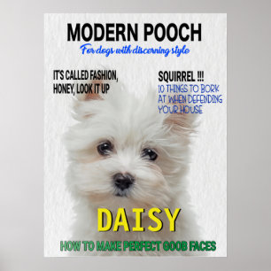 Maltese Terrier Parody Magazine Cover Poster