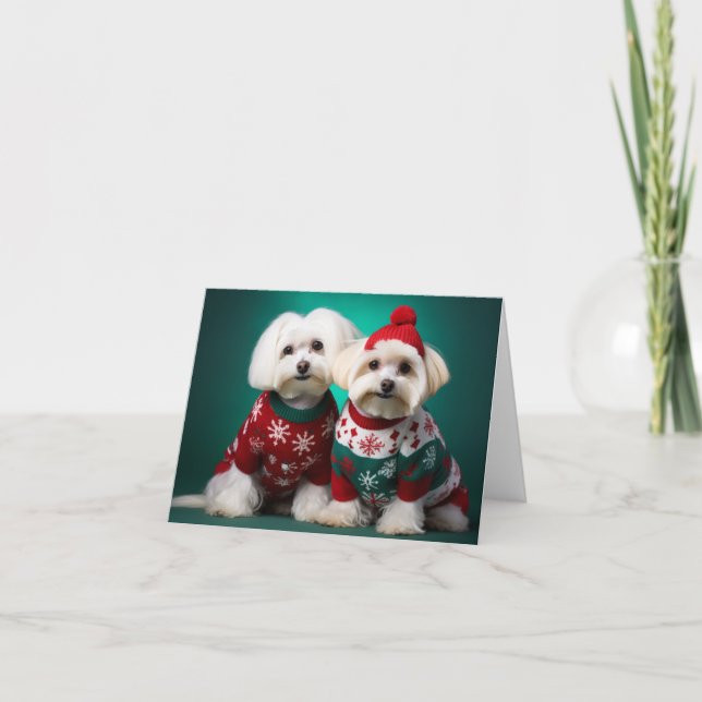 Maltese Terriers Christmas Card (Front)