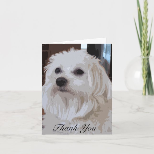 Maltese Thank You Note Cards (Front)