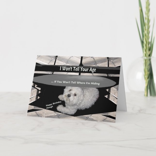 Maltese Under the Table Birthday Humour Card (Front)