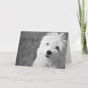 Maltese Valentine Card