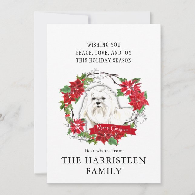 Maltese Watercolor Poinsettia Christmas Holiday Card (Front)