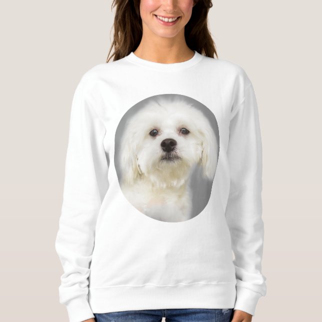 Maltese white puppy sweatshirt (Front)