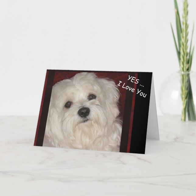 Maltese "Yes ...  I Love You"  Greeting Card (Front)