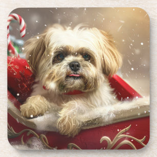 Malti Tzu Dog Christmas Festive Coaster