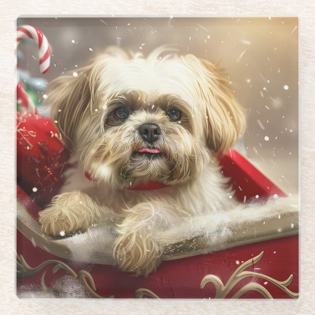 Malti Tzu Dog Christmas Festive Glass Coaster (Front)