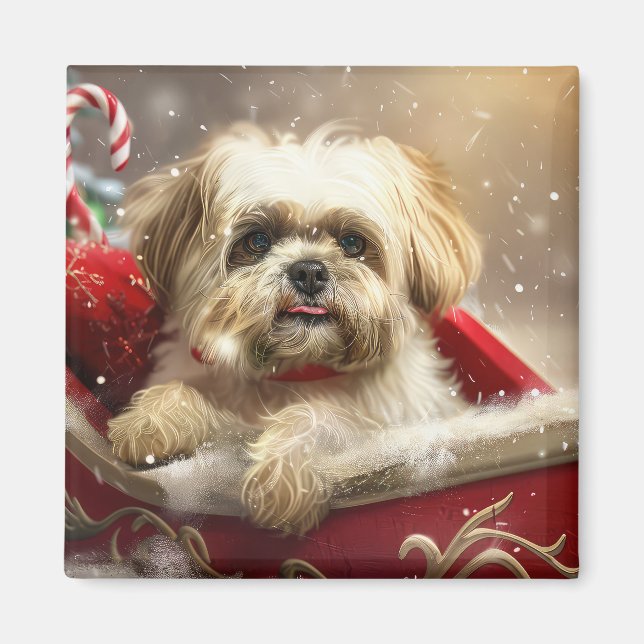 Malti Tzu Dog Christmas Festive Magnet (Front)