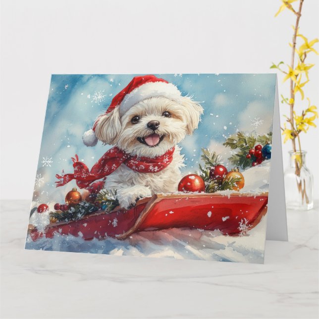 Malti Tzu  Dog in Sledge Let it Snow Christmas Card (Yellow Flower)