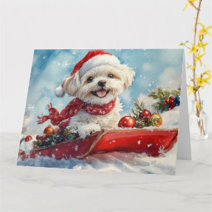 Malti Tzu Dog in Sledge Let it Snow Christmas Card