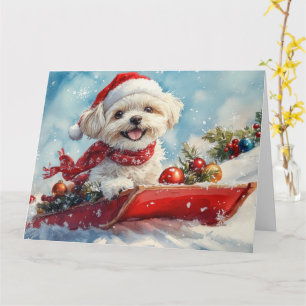 Malti Tzu Dog in Sledge Let it Snow Christmas Card