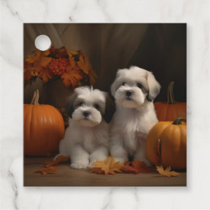 Malti tzu Puppy Autumn Delight Pumpkin Favour Tags