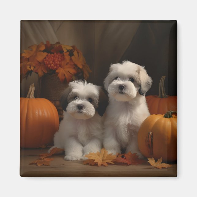 Malti tzu Puppy Autumn Delight Pumpkin Magnet (Front)