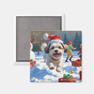 Malti Tzu Running in Snow with Christmas Hat Magnet