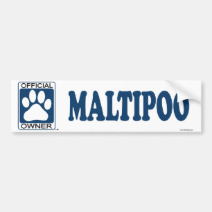 Maltipoo Blue Bumper Sticker