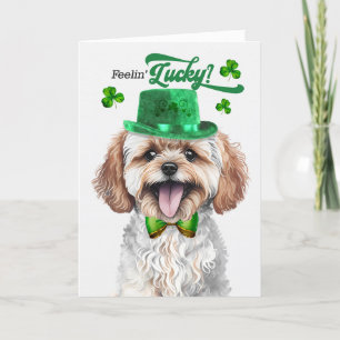 Maltipoo Dog Feelin' Lucky St Patrick's Day Holiday Card
