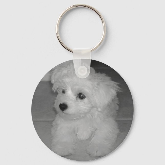 Maltipoo Keychain (Front)