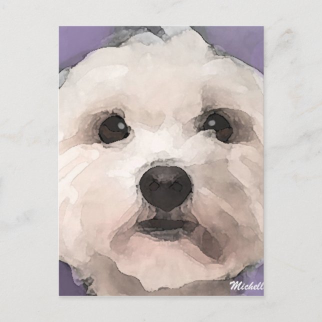 Maltipoo Postcard (Front)