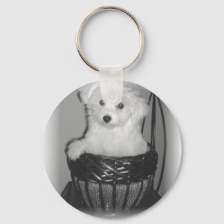 MaltiPoo Products Key Ring