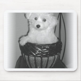 MaltiPoo Products Mouse Mat