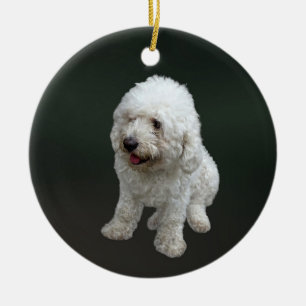 Maltipoo Puppy Ceramic Tree Decoration