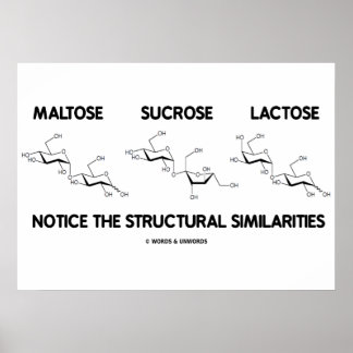 Maltose Sucrose Lactose Structural Similarities Poster