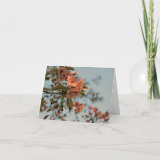 Malus Brandywine Crabapple Blossom Card