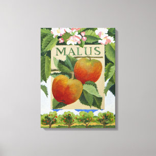 Malus Canvas Print