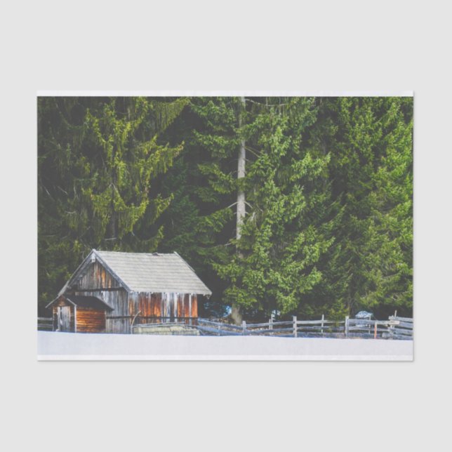 Mama and Baby Barns Protected by Giant Trees Tissue Paper (Front)